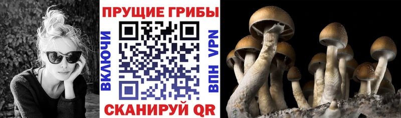 Купить закладки  Кирово-Чепецк  Галлюциногенные грибы ЛСД 
